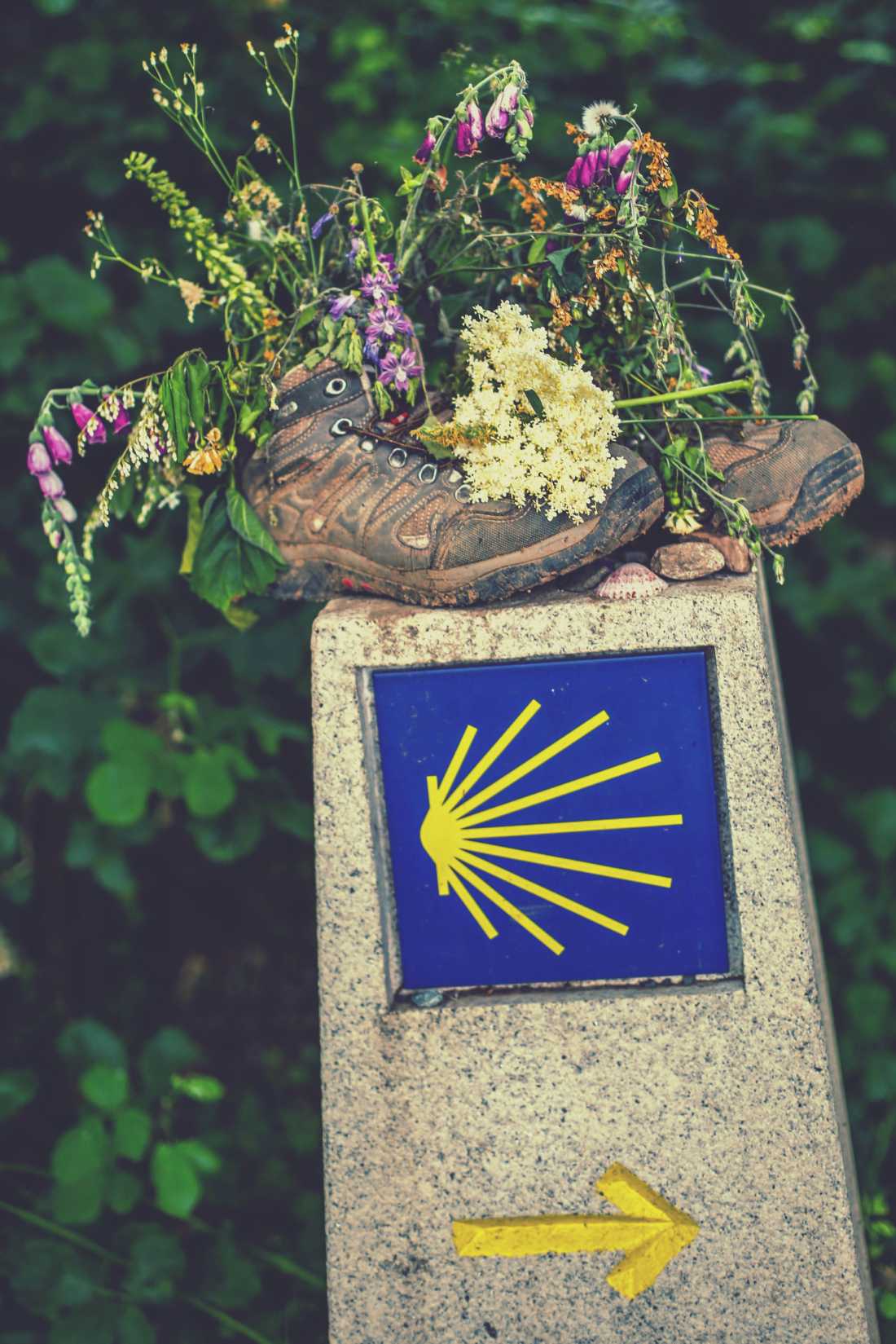 Decorative signage along the Camino |  @timcharody