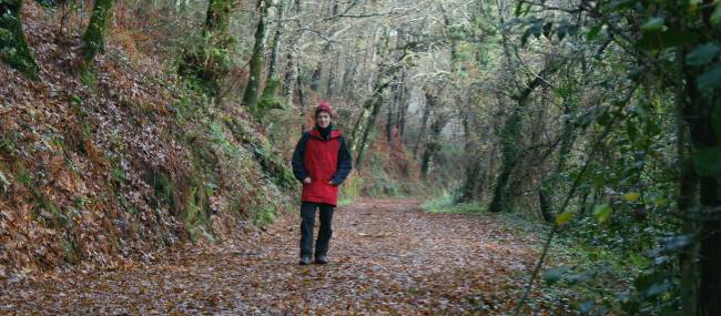 Woodland trail on the Compostela Trail, Tui to Santiago | Janet Oldham